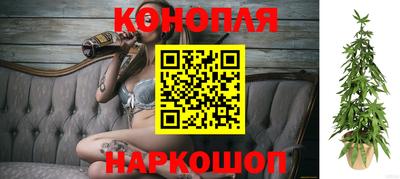 стафф Усть-Илимск