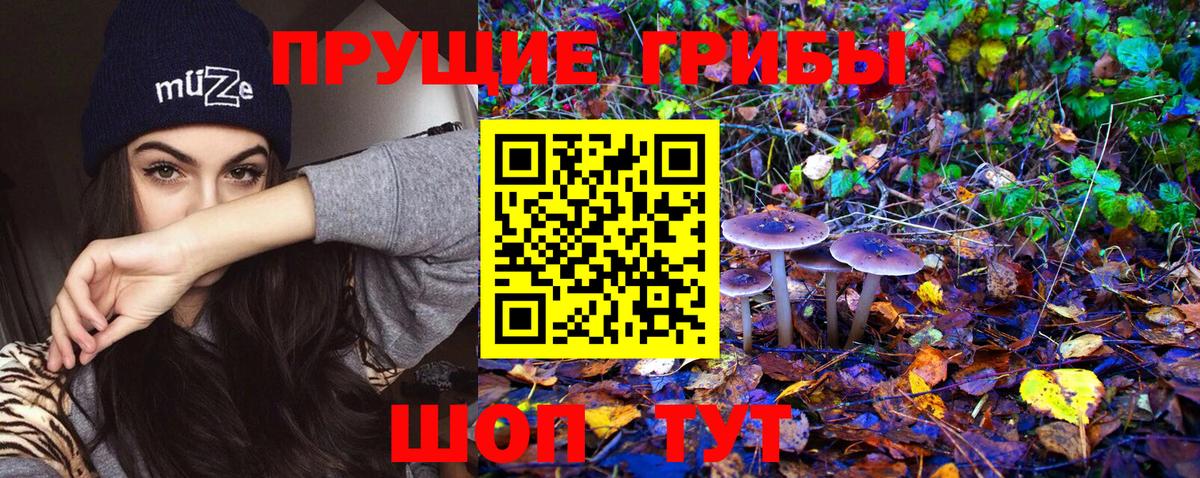 Псилоцибиновые грибы Magic Shrooms  Вход с VPN  Барнаул 